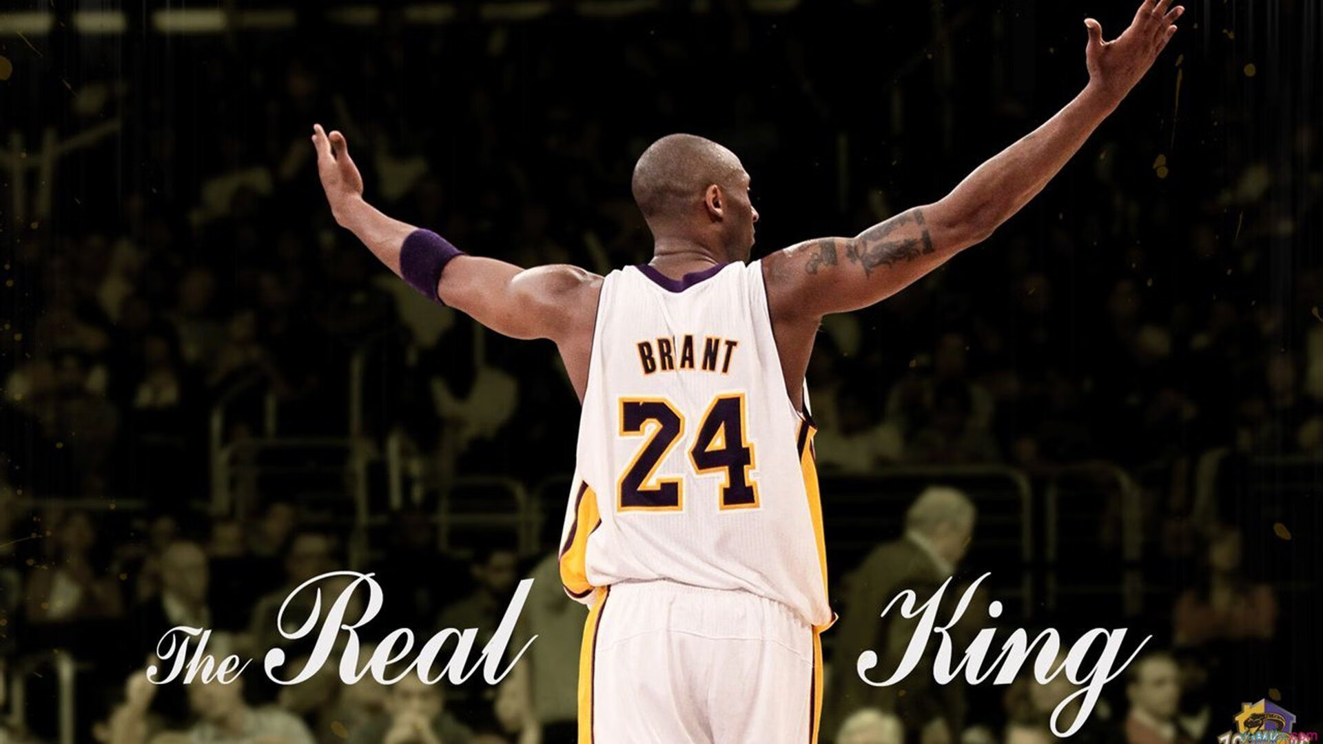 -赛场战术：快速反击成为北京取胜的秘密武器！