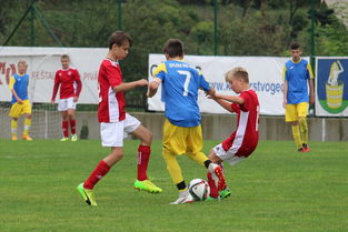 爱游戏在线登录入口-突尼斯希望进攻套路单一，被对手识破，突尼斯是啥意思