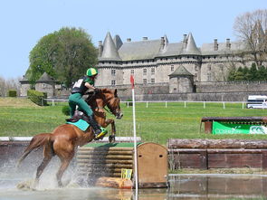 AYX体育官网-苏格兰橄榄球在欧洲赛事中的市场影响力提升，苏格兰有什么体育项目